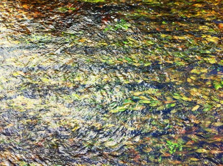 Monet 10 Large
