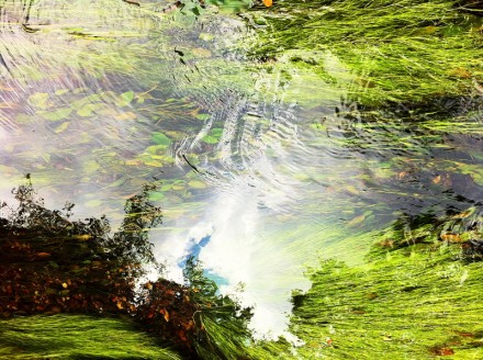 Monet 14 Large