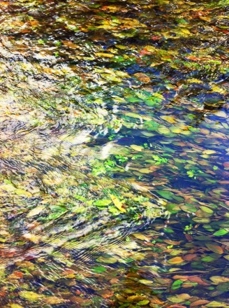 Monet 24 Large