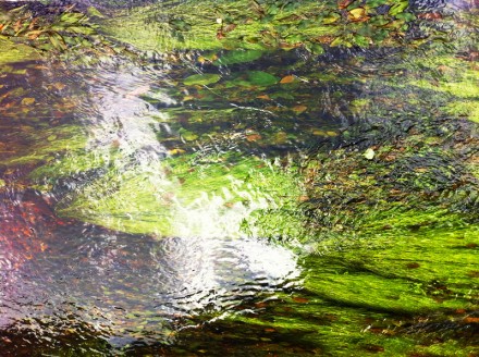 Monet 6 Large