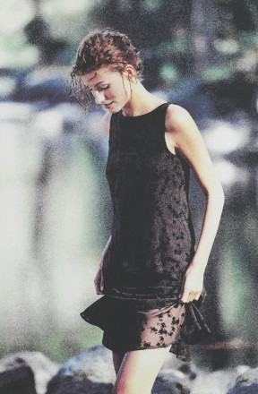 The Girl  in a Brown Dress