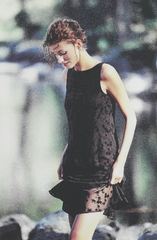 The Girl  in a Brown Dress