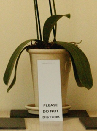 detail – do not disturb 2