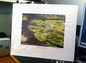 m-hooper-photo-in-situ-3